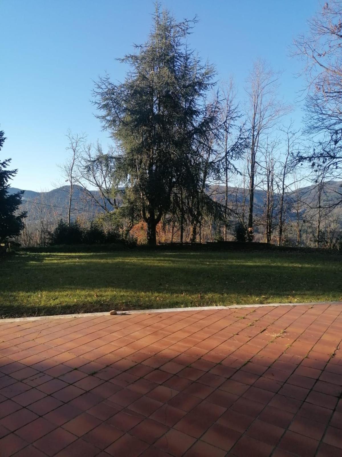 Le Camelie Villa Polverara Exterior foto