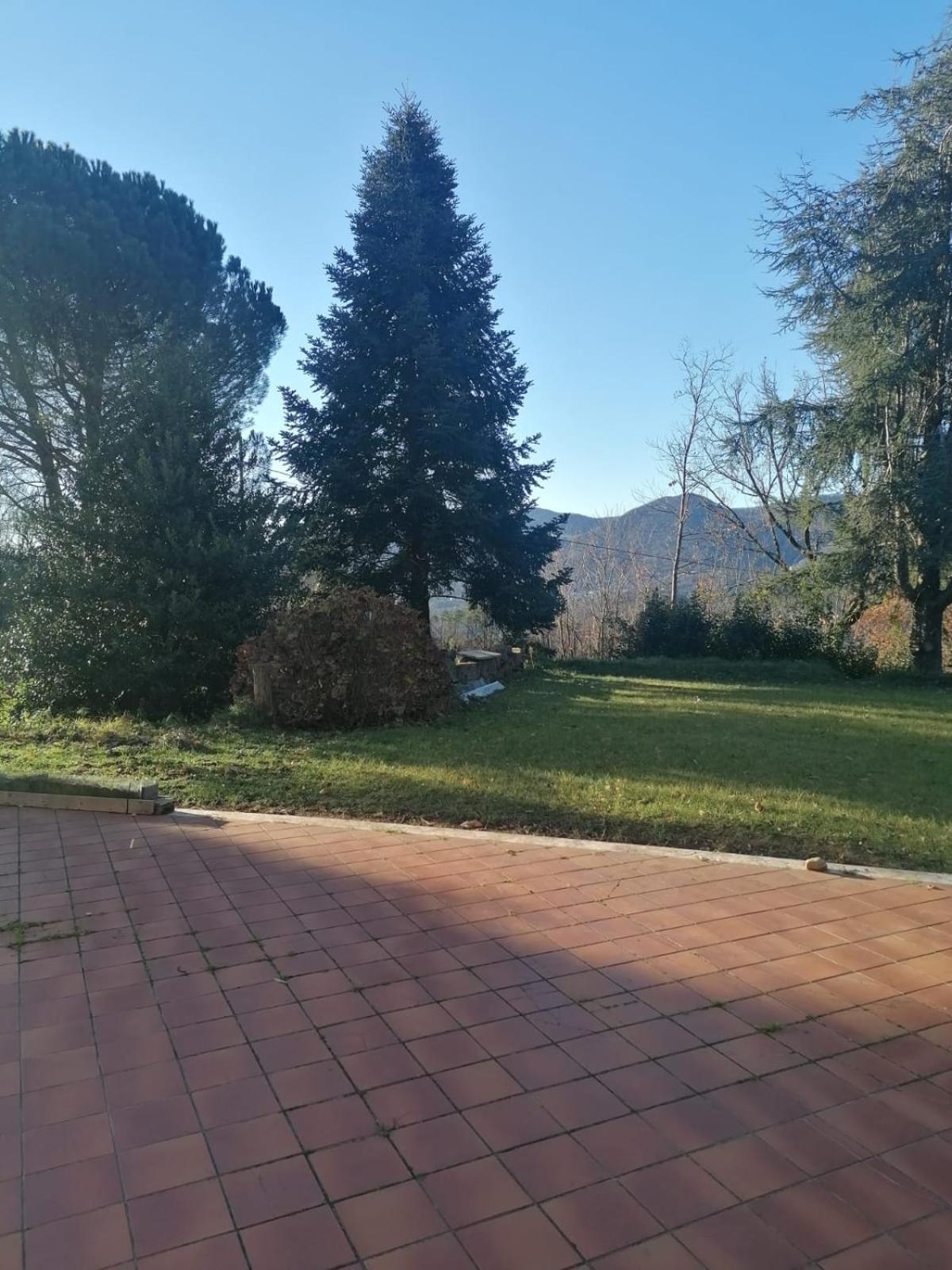 Le Camelie Villa Polverara Exterior foto